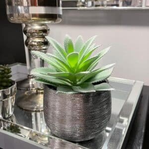 SUCULENTA EN MACETA PLATEADA