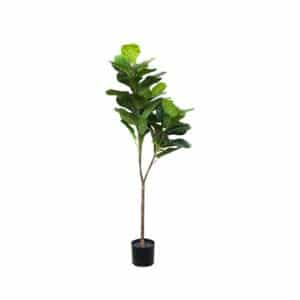 PLANTA 130CM