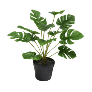 PLANTA 45СМ