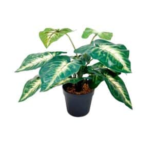 PLANTA 45 CM