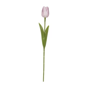 TULIPAN 33CM