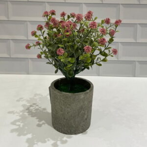 PLANTA ARTIFICIAL С/МАСЕTА