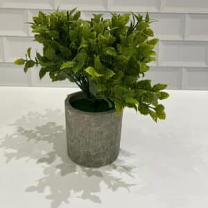 МАСЕТА C/PLANTA ARTIFICIAL