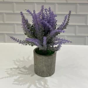 МАСЕГА C/PLANTITA ARTIFICIAL