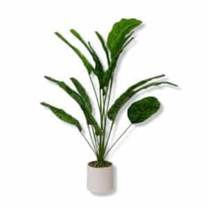 РLANTA ARTIFICIAL С/МАСЕTА