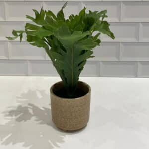 РLANTA ARTIFICIAL С/МАСЕTА