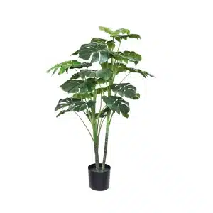 PLANTA 120CM