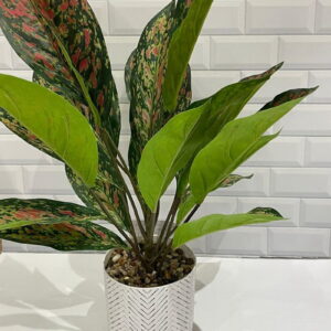 РLANTA ARTIFICIAL С/МАСЕTА