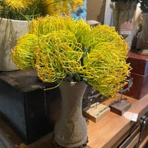 PROTEA COJIN DE ALFILER