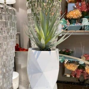 PICK DE PASTO EN MACETA