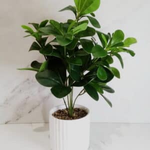 PLANTA ARTIFICIAL C/MACETA DE CERAMICA 33
