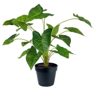 PLANTA 50CM