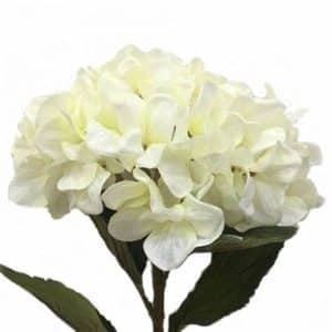 HORTENSIA 7 RAMAS 80CM