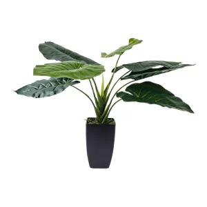 PLANTA TARO ARTIFICIAL 68CM