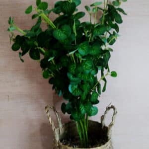 PLANTA ARTIFICIAL MACETA GLASS TEJIDA