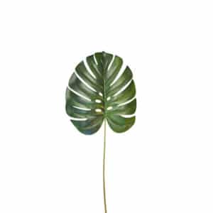 HOJA 70CM