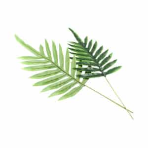 HOJA 72CM
