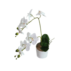 PLANTA ORQUIDIA 45 CM