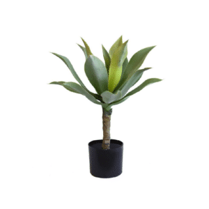 PLANTA ALOE 60CM