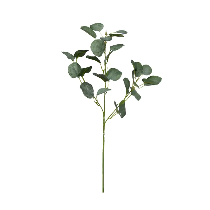 RAMA 68CM
