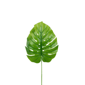 HOJA 85CM 