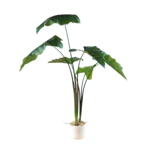 PLANTA 100CM