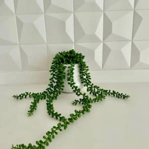 MACETA C/PLANTA ARTIFICIAL 50Cm.