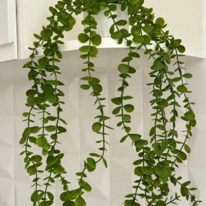 MACETA C/PLANTA ART. COLGANTE 60Cm.