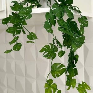 MACETA C/PLANTA ART. COLGANTE 60cm.