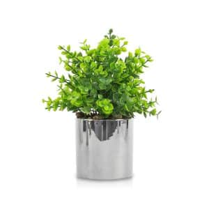 FLASH | PLANTA CON MACETA 21X22 CM