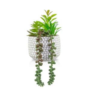 LONGO | PLANTA CON MACETA 12 X35 CM