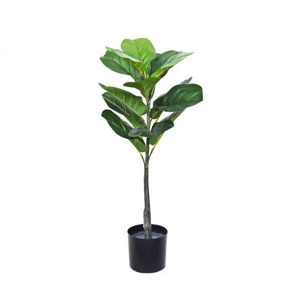 PLANTA 70CM