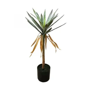 PLANTA 80CM