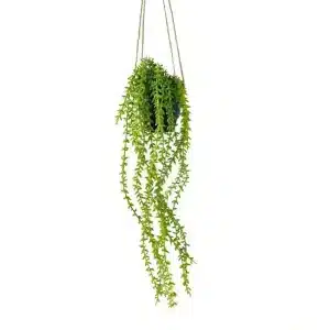 PLANTA COLGANTE 70CM