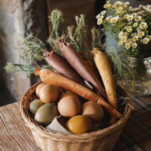 COSECHA DE ZANAHORIAS