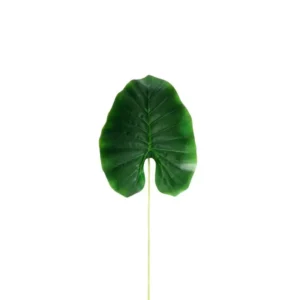 HOJA 61CM