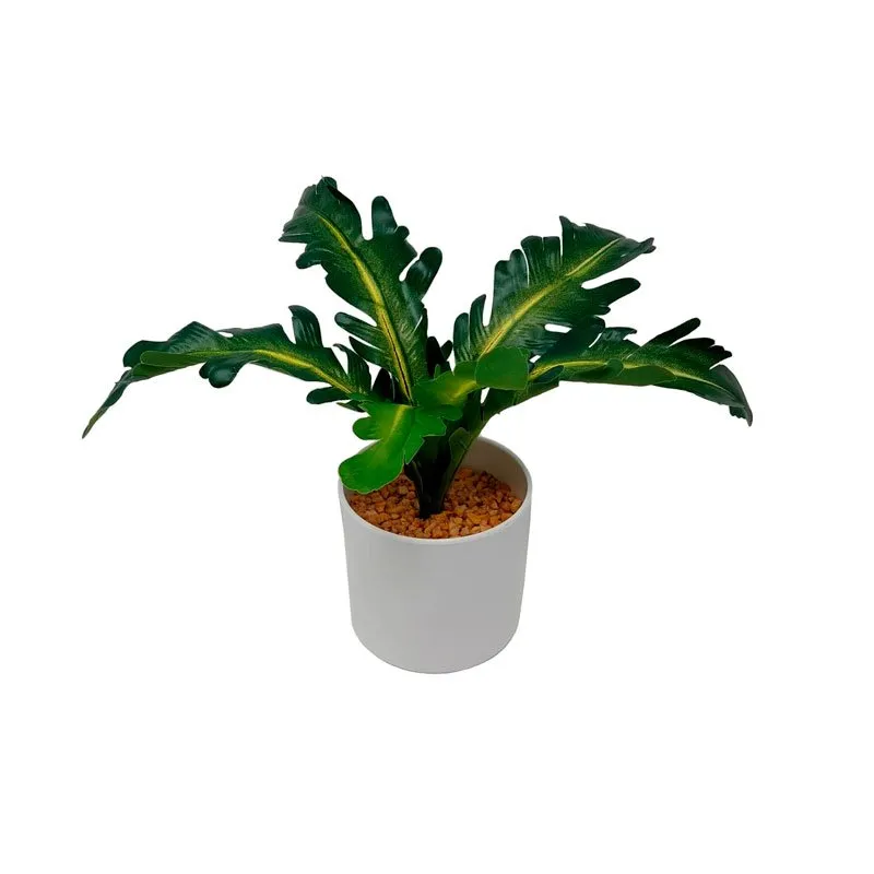 PLANTA CON MACETA 30 CM