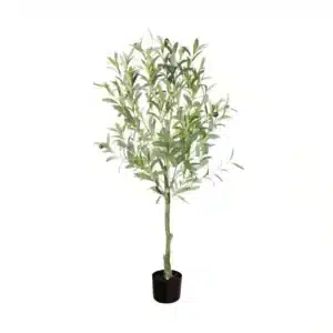 OLIVO 100CM