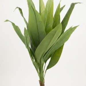 PLANTA MACETA PLASTICO NEGRO 1.10 mt.